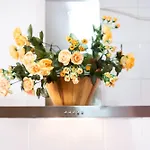 Luz * Conil De La Frontera